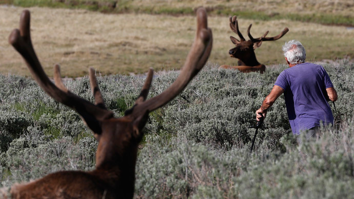 Animals fleeing Yellowstone spark fears of volcanic eruption