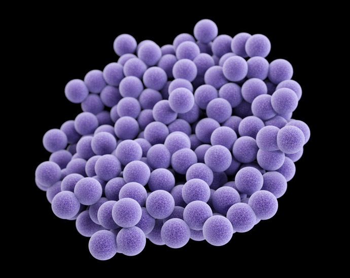 MRSA (Image from cdc.gov)