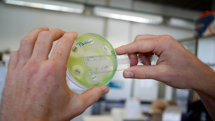 A researcher holding a petri dish with a culture at the microbiology lab of the Universitair Ziekenhuis Antwerpen, a hospital in Antwerp on August 13, 2010 (AFP Photo)