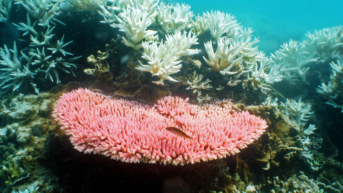 UNESCO slams Barrier Reef dumping plans