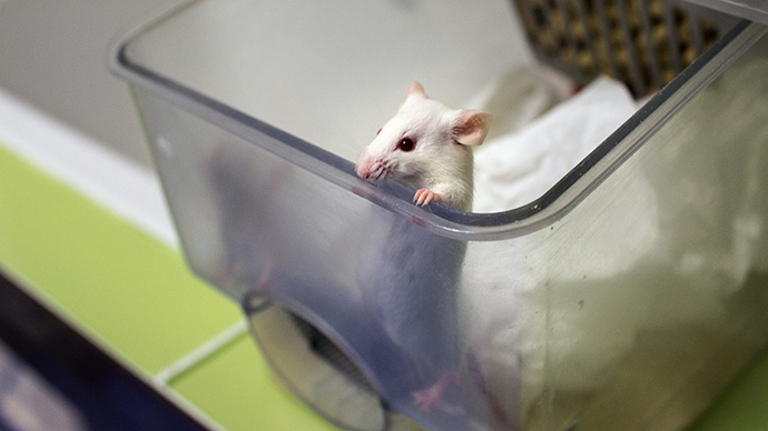 ​Miracle component in young blood rejuvenates brain, muscles in older mice
