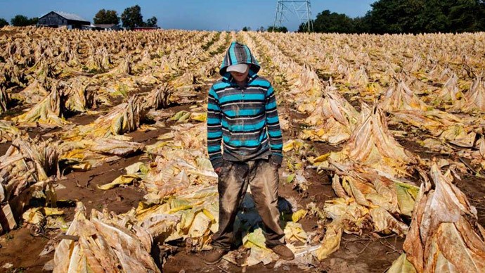US child tobacco farms: 60hrs a week in heat, nicotine exposure