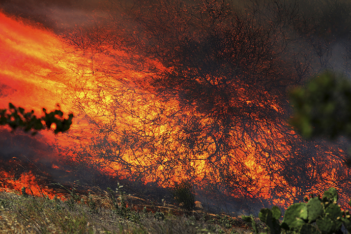 A bush is fully engulfed at the Ranch Fire near San Diego, California May 13, 2014. (Reuters / Sandy Huffaker)
