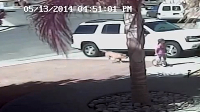 #HeroCat fights off vicious dog to save CA toddler (VIDEO)