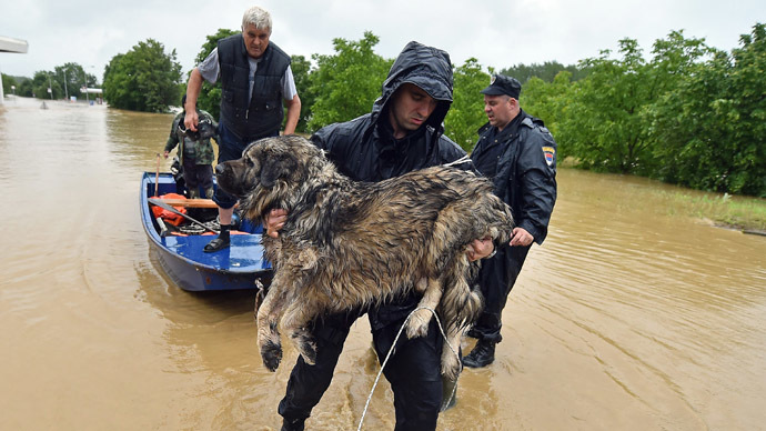 ​Inspiring images: People risk their lives saving animals from devastating Balkans flood