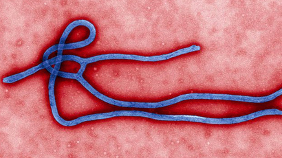 Two Americans contract Ebola, as fears of virus spread intensify