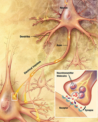 Image from wikipedia.org