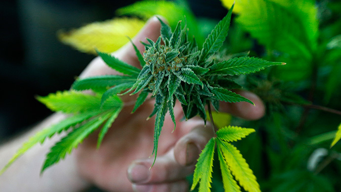 Colorado activists sue to halt taxes on legalized marijuana