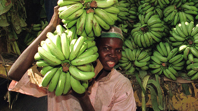 Genetically modified ‘super banana’ to be tested on Americans