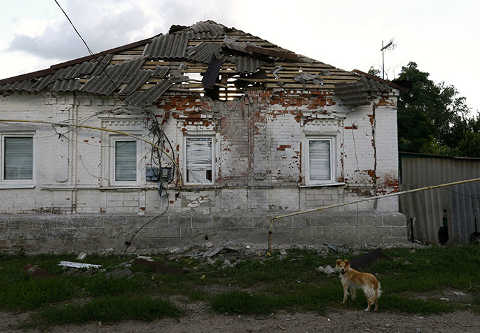 A dog stands near a building damaged by shelling from government forces as they fight separatists in the eastern Ukrainian city of Slaviansk June 16, 2014. (Reuters / Shamil Zhumatov)