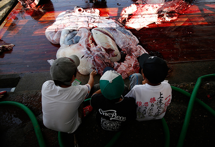 Grade school students watch a carved Baird's Beaked whale at Wada port in Minamiboso, southeast of Tokyo June 26, 2014 (Reuters / Issei Kato)