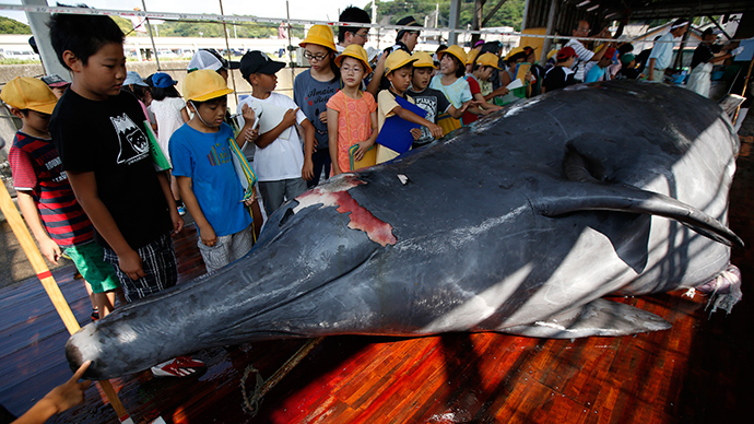 Whale carved up in Japan as crowd of kids and locals watch (PHOTOS)