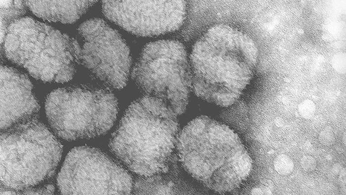 NIH failed to notify employees about smallpox discovery, despite promises to be more open