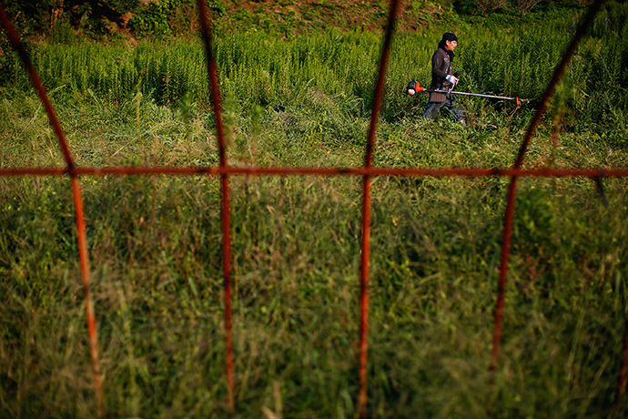 A farmer cuts the grass at an abandoned farm at the edge of the exclusion zone at the coastal area near Minamisoma near the crippled Daiichi nuclear plant in Fukushima prefecture (Reuters / Damir Sagolj)