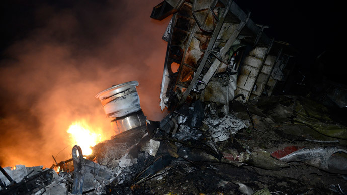 A picture taken on July 17, 2014 shows flames and smoke amongst the wreckages of the malaysian airliner carrying 295 people from Amsterdam to Kuala Lumpur after it crashed, near the town of Shaktarsk, in rebel-held east Ukraine.(AFP Photo / Alexander Khudoteply )