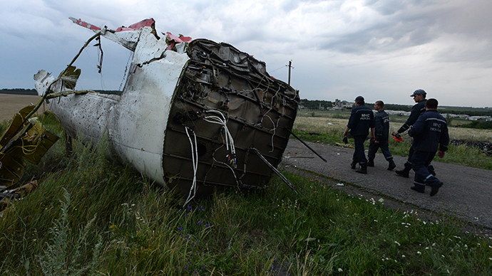 The crash site of the Malaysian Boeing 777 outside Shakhtyorsk, Donetsk Region (RIA Novosti)
