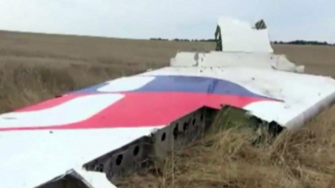 The site of crashed Malaysian plane (screenshot from RT video)