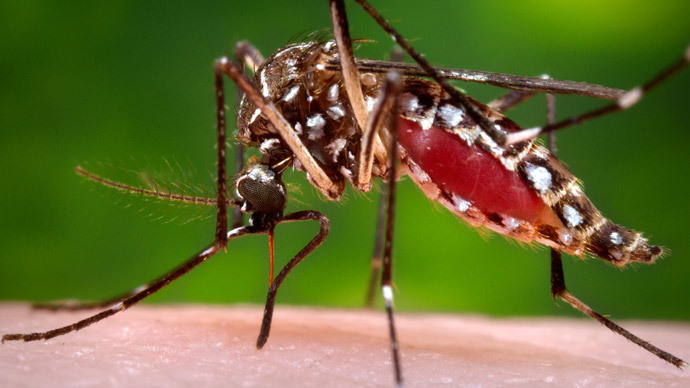 First West Nile virus death this year reported in Arizona
