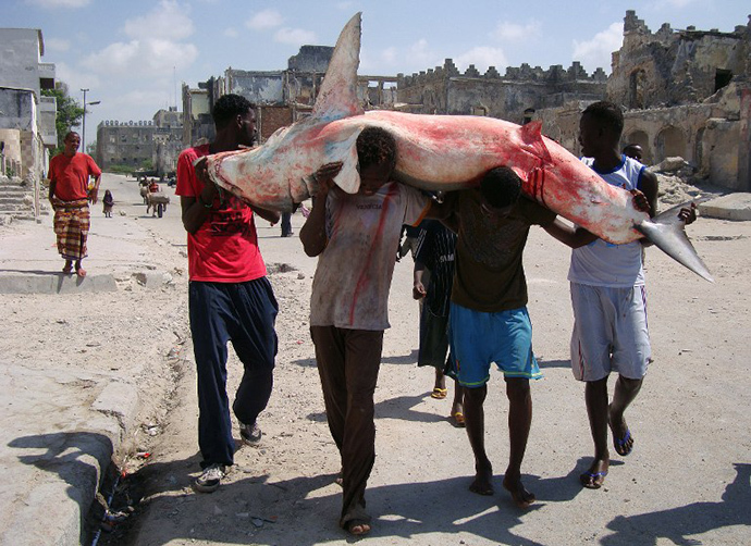 Somali fishermen carry a shark from the shores of the Indian ocean in Hamarweyne district of Somalia's capital Mogadishu (AFP Photo / Mohamed Abdiwahab)