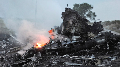 Russia urges UNSC to stop ‘speculation around MH17 flight’