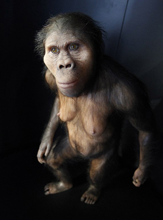 A reproduction is pictured at the chamber of evolution of the Museum of Human Evolution (AFP Photo / Cesar Manso)