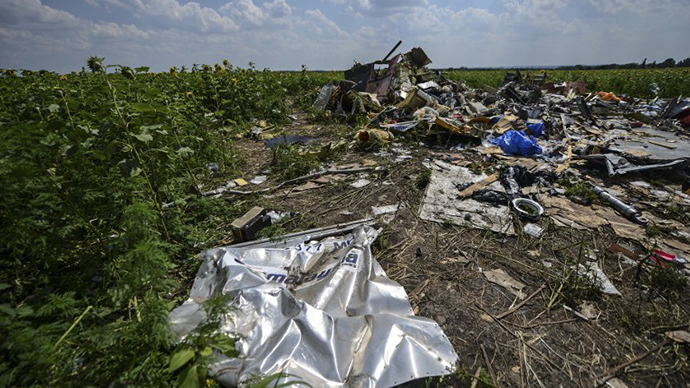 A photo taken on July 23, 2014 shows the crash site of the downed Malaysia Airlines flight MH17, in a field near the village of Grabove, in the Donetsk region. (AFP Photo / Bulent Kilic)