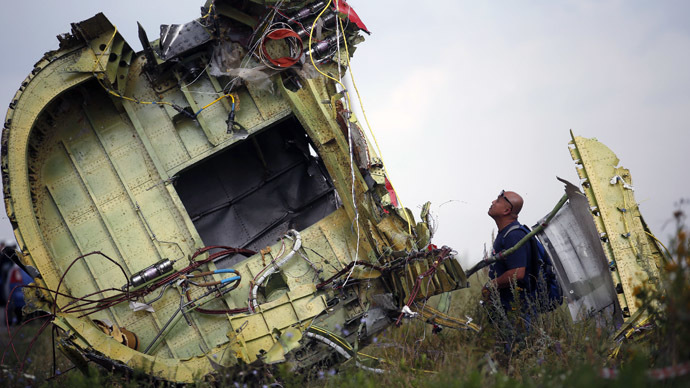 A Malaysian air crash investigator inspects the crash site of Malaysia Airlines Flight MH17, near the village of Hrabove (Grabovo), Donetsk region July 22, 2014. (Reuters/Maxim Zmeyev)