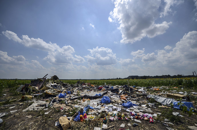 Crash site of the downed Malaysia Airlines flight MH17, in a field near the village of Grabove, in the Donetsk region. (AFP Photo / Bulent Kilic) 