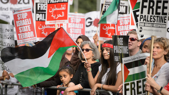 A demonstrator waves the Palestinian flag during a protest near the Israeli embassy in central London on August 1, 2014.(AFP Photo / Leon Neal)
