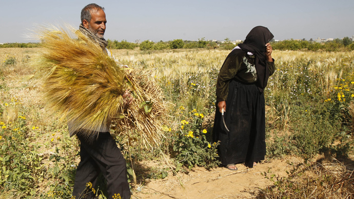 Gaza agriculture devastated by Israeli offensive – UN