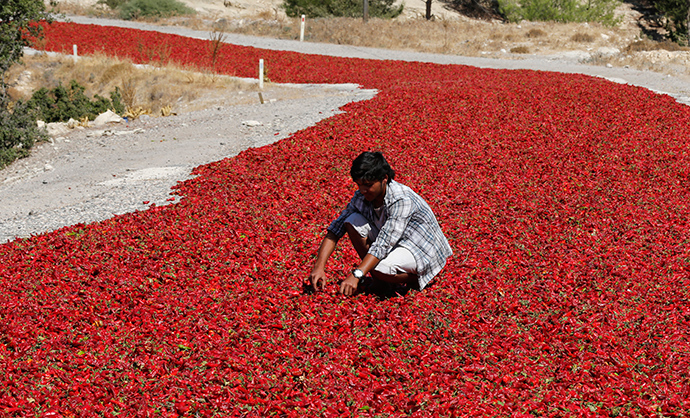 Reuters / Umit Bektas