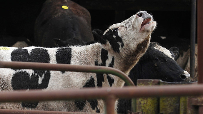 Four indicted in Feb. recall of 8.7 million pounds of contaminated beef