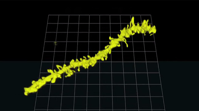 Use of drug can chemically increase the activity of autophagy (Image from youtube.com video)