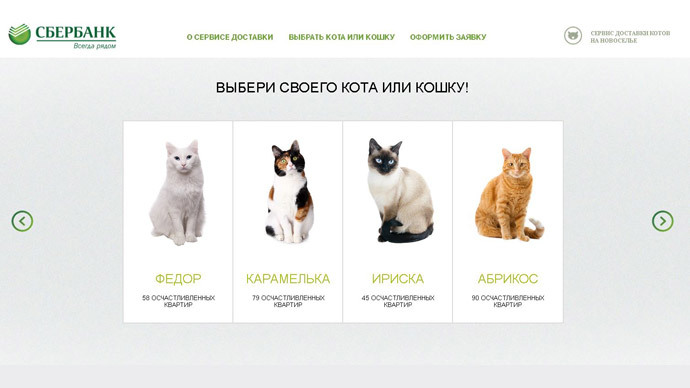 Cats selection to choose from on Sberbank's website. Screenshot from Sberbank.ru