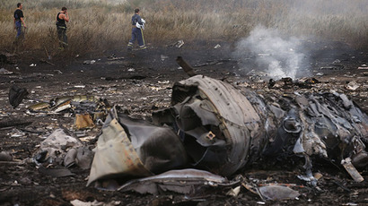 MH17 broke up in mid-air due to external damage - Dutch preliminary report