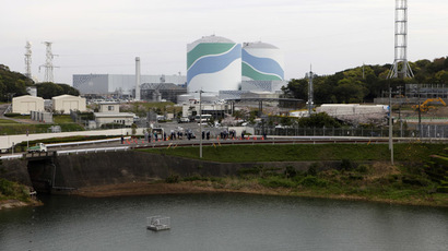 ‘What’s your anti-disaster plan?’ Thousands protest Japanese nuclear revival