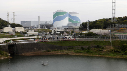 ​‘Nuclear soup’: Japanese duo to serve Fukushima broth at London art fair