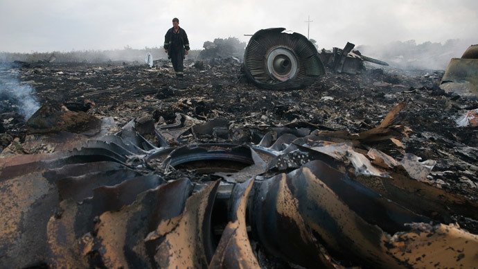 An Emergencies Ministry member walks at a site of a Malaysia Airlines Boeing 777 plane crash near the settlement of Grabovo in the Donetsk region, July 17, 2014.(Reuters / Maxim Zmeyev)