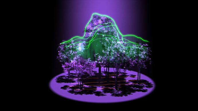Beam me down: NASA’s GEDI laser to 3D-map Earth’s forests