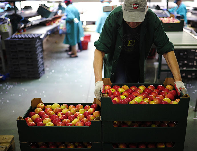 Employees sort and pack apples at RAJPOL company, near Grojec, Poland, August 4, 2014. (Reuters / Filip Klimaszewski)