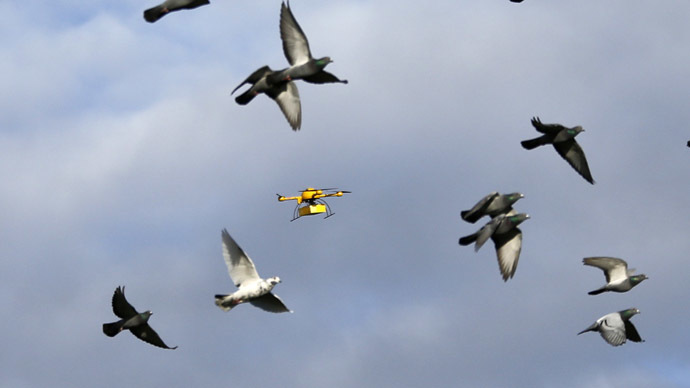A flock of pigeons flies with a prototype "parcelcopter" of German postal and logistics group Deutsche Post DHL in Bonn December 9, 2013. (Reuters/Wolfgang Rattay)