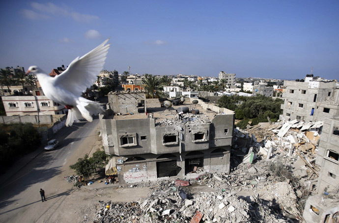 A Pigeon flies near the remains of a house, which witnesses said was destroyed by an Israeli air strike, in the central Gaza Strip August 23, 2014. (Reuters/Ibraheem Abu Mustafa)