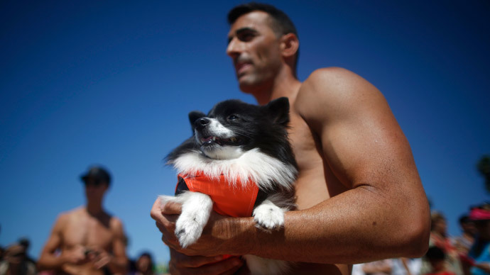 A dog waits to compete at the 6th Annual Surf City surf dog contest in Huntington Beach, California September 28, 2014.(Reuters / Lucy Nicholson)