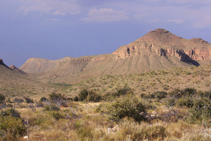 Chihuahua Desert near Sierra Blanca, Texas. (image from wikipedia.org by Ricraider)