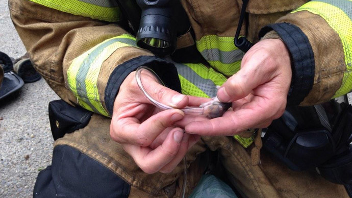 WA firefighter saves baby hamsters with oxygen-mask, tiny breathing tube