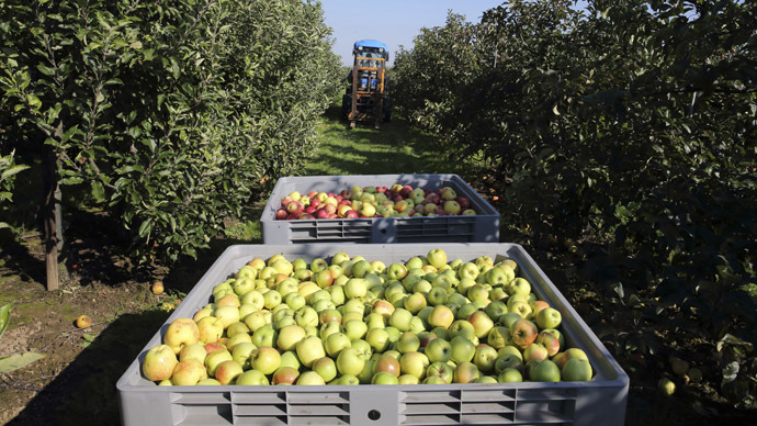 EU forks out further €165mn in aid to farmers hit by Russian sanctions