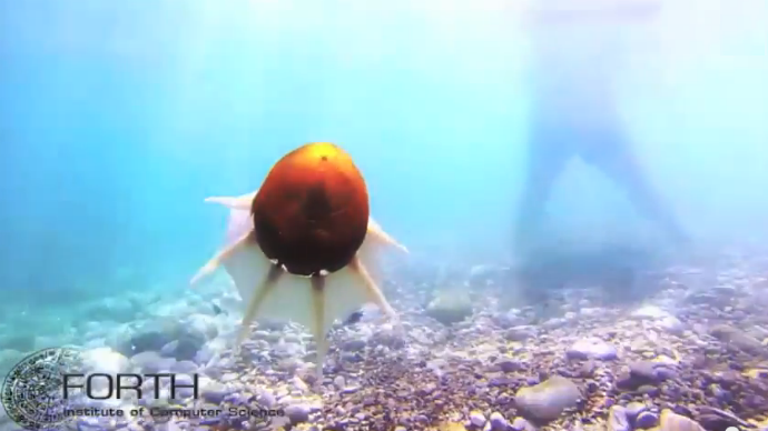 ‘Octorobot’ can swim in ocean, carry objects (VIDEO)
