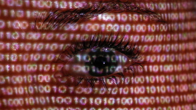 ​Germany handed law-protected private data to NSA for years – report