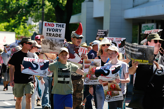 People carrying placards calling for the end to the ivory trade walk through the streets of Stellenbosch during the Global March for Elephants and Rhinos in Cape Town on October 4, 2014 (AFP Photo / Jennifer Bruce)