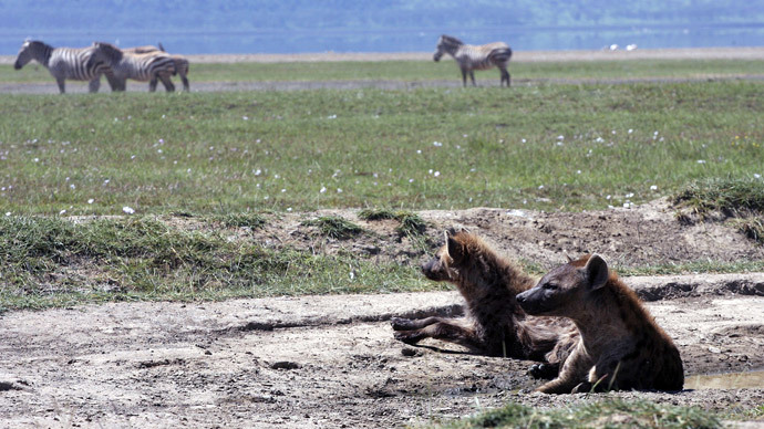 AFP Photo / Simon Maina